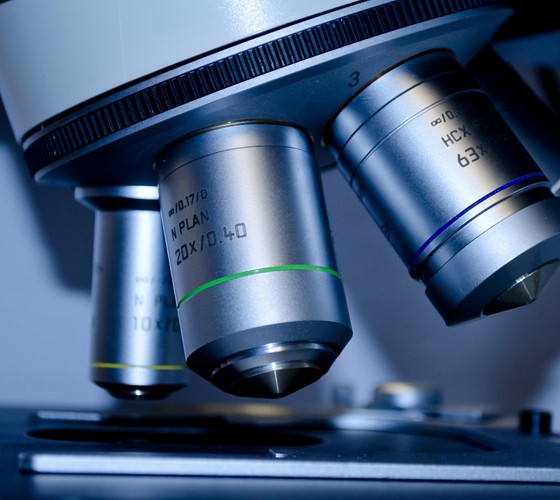 嫁接王永炎院士專(zhuān)家工作站、張世臣專(zhuān)家團(tuán)隊(duì)中藥傳統(tǒng)炮制技藝傳承..